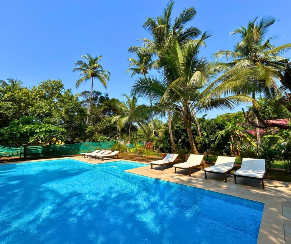 Swimming pool, sunbed