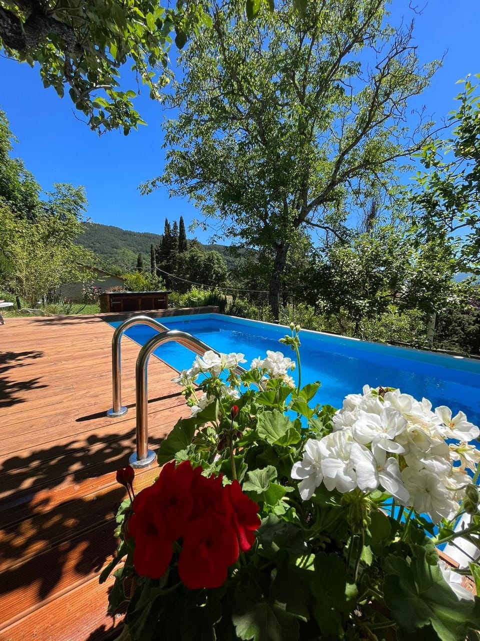 Day, Natural landscape, Garden, Garden view, Mountain view, Pool view, Swimming pool