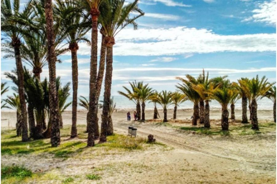 Apartamentoen la playa, 200 Mts de la playa Nuevo Apartment in Santa Pola