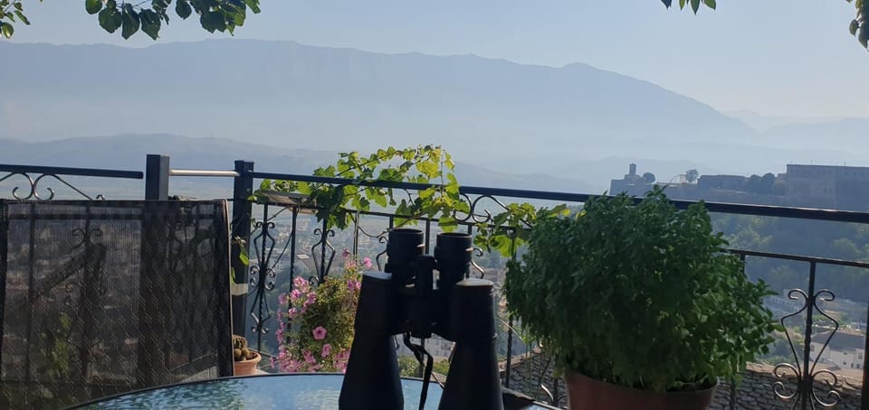 Natural landscape, View (from property/room), Balcony/Terrace, City view