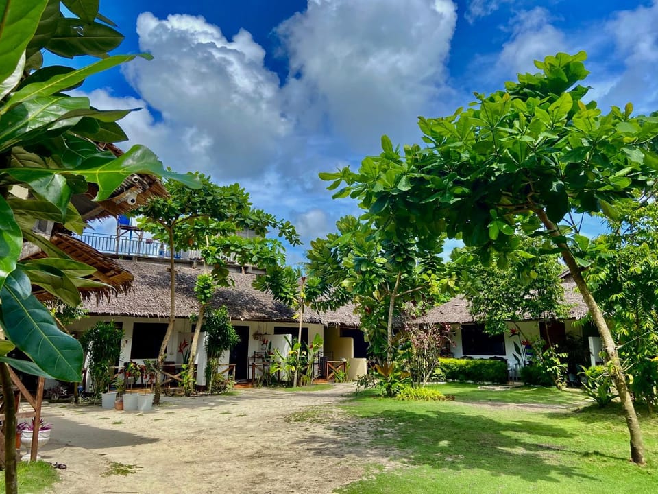 Property building, Day, Garden