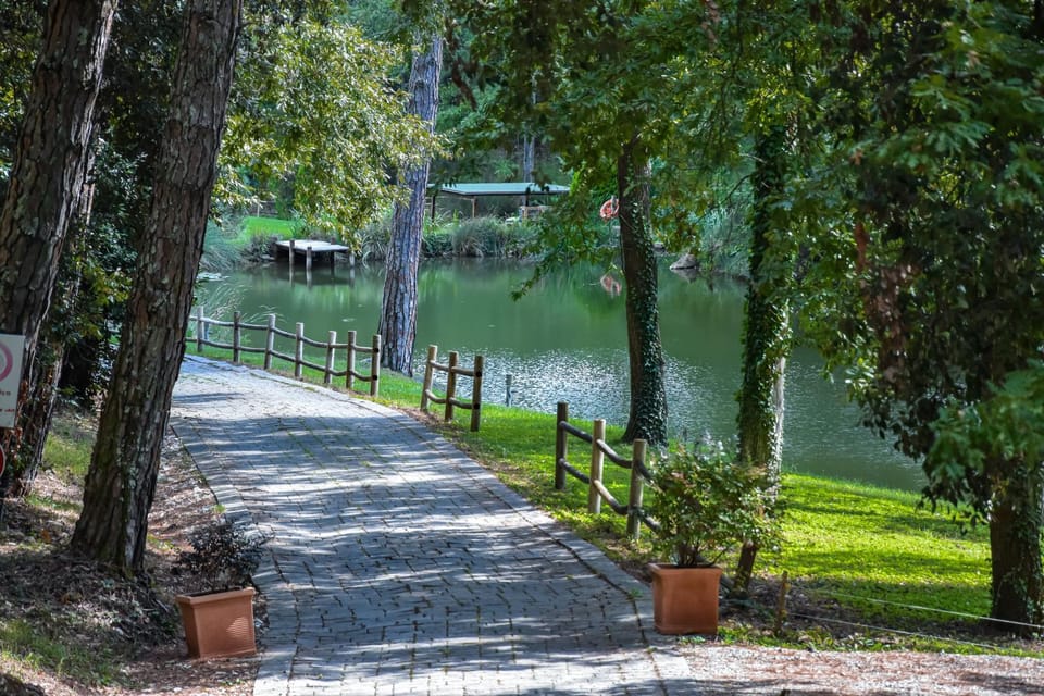 Lake view