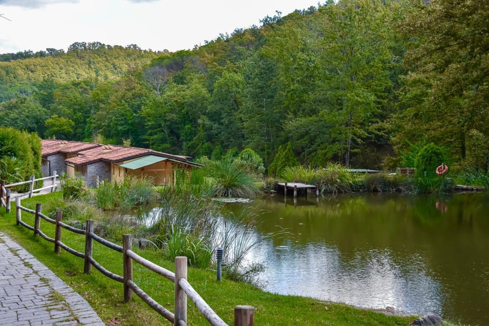 Lake view
