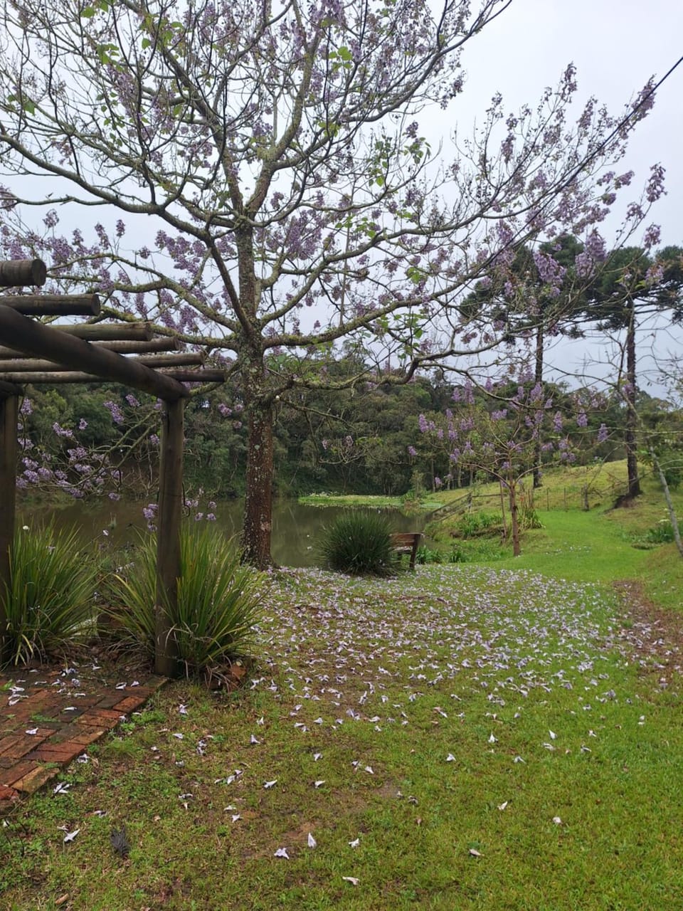 Sítio Recanto da Guarda - Nó de Pinho House in State of Santa Catarina