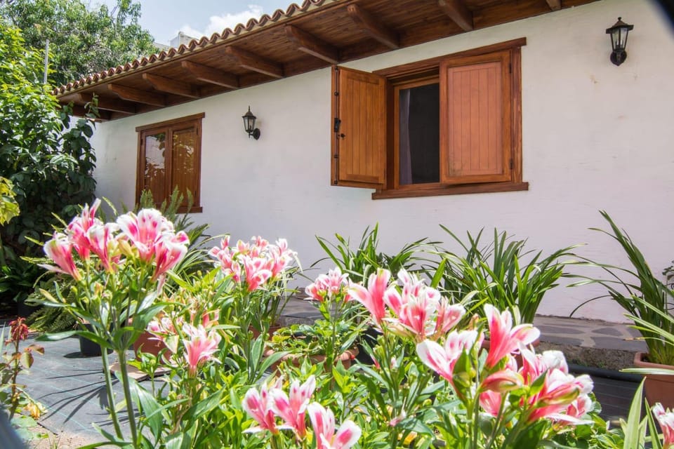 Property building, Garden, Garden view