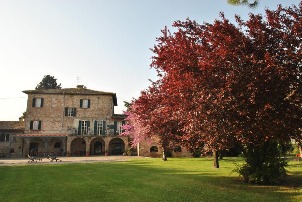 Facade/entrance, Garden