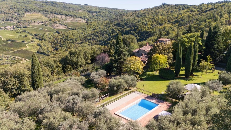 Garden, Garden view, Pool view, Swimming pool