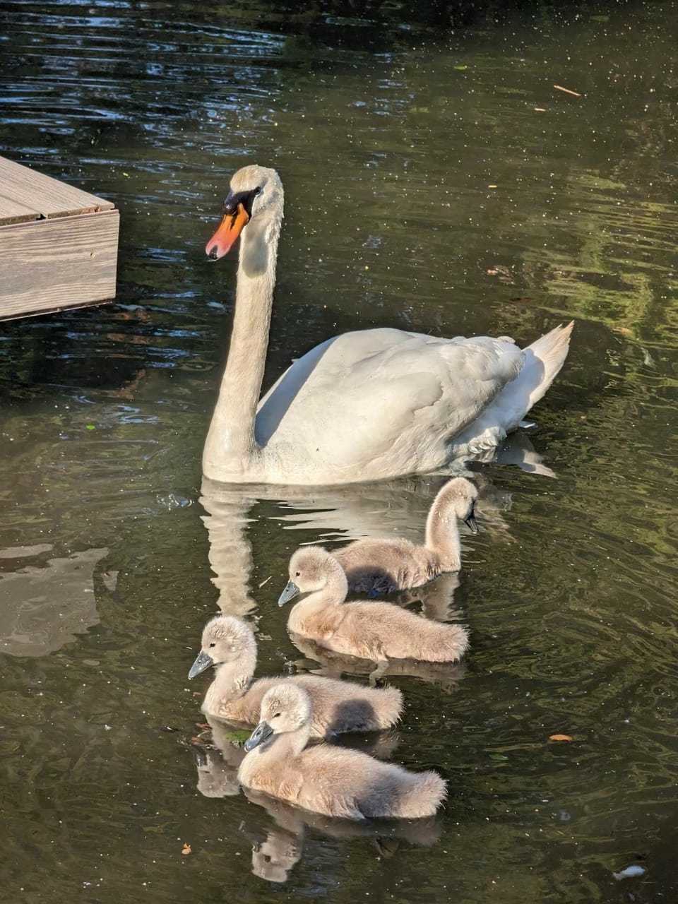 Spring, Natural landscape
