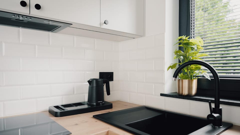 Coffee/tea facilities, Kitchen or kitchenette, dishwasher, stove