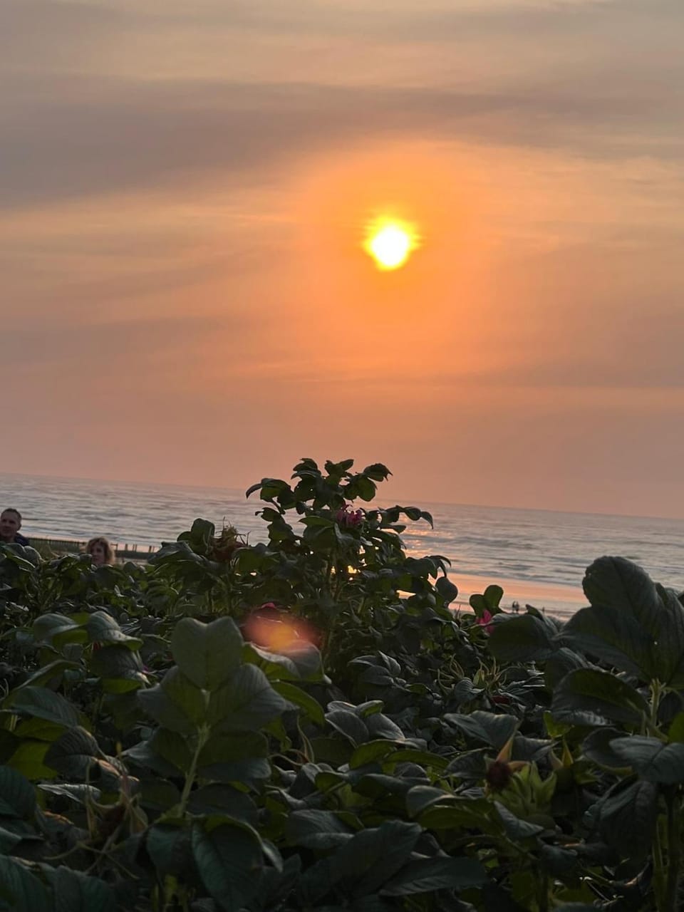 Sea view