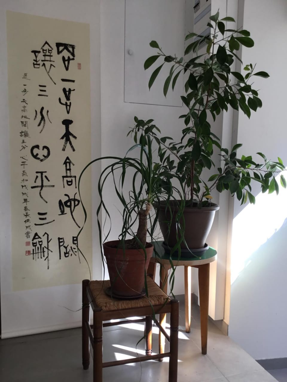 Chambre d hôte La cool room Bed and Breakfast in Provence-Alpes-Côte d'Azur