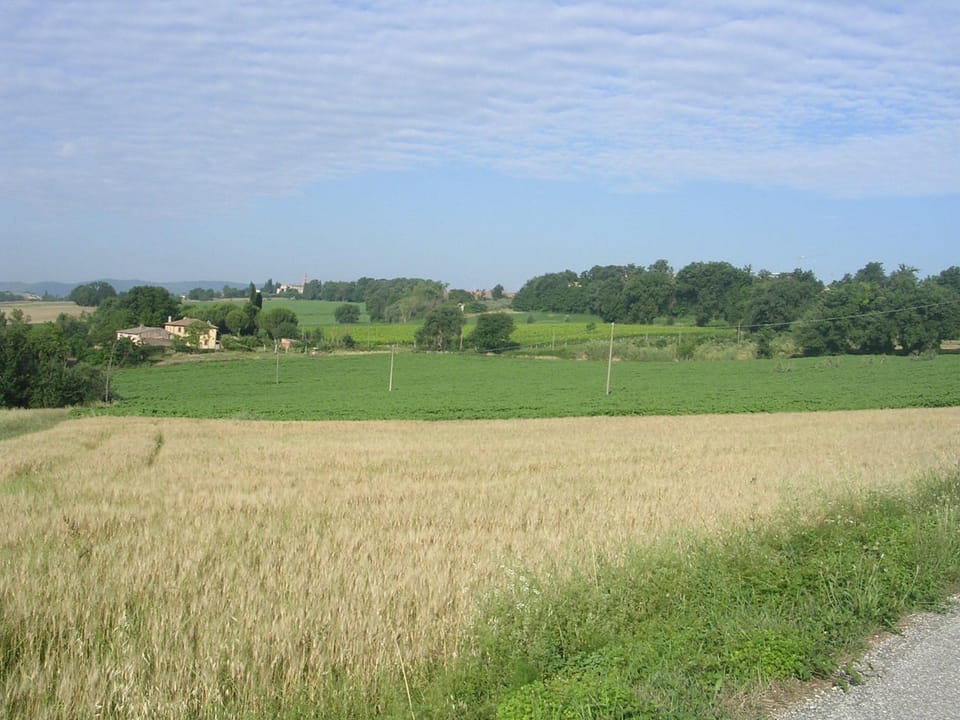 Natural landscape, Other