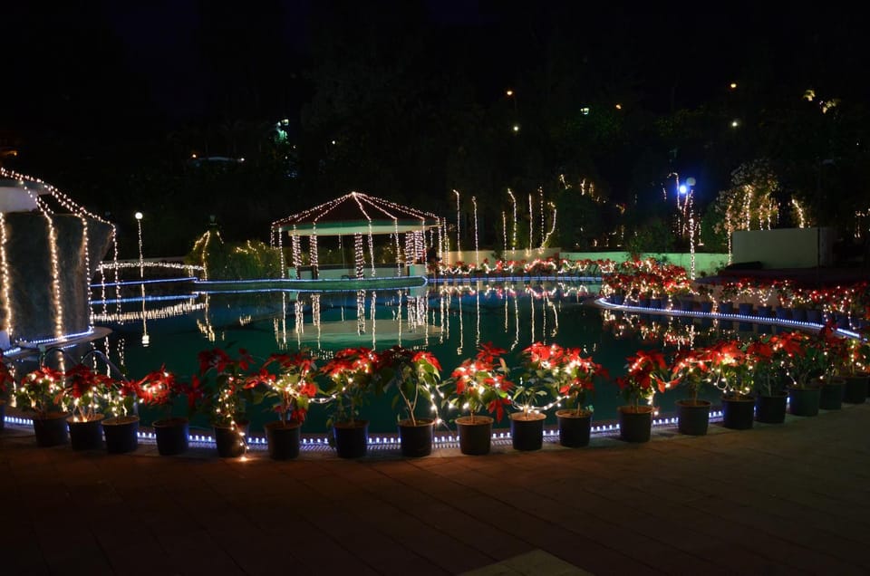 Night, Swimming pool