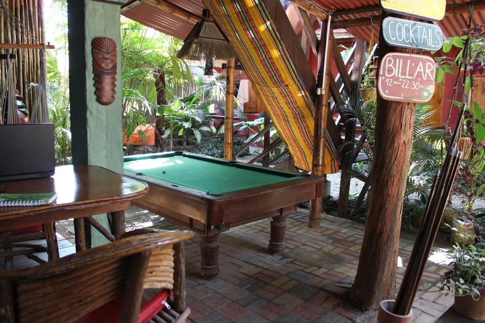 Communal lounge/ TV room, Billiard