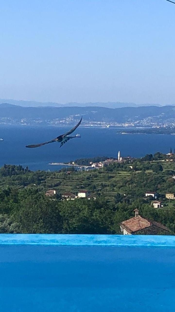 Day, City view, Mountain view, Sea view