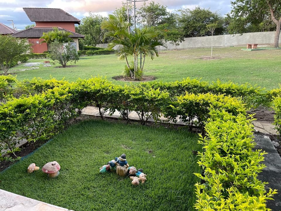 Day, Garden, Garden view