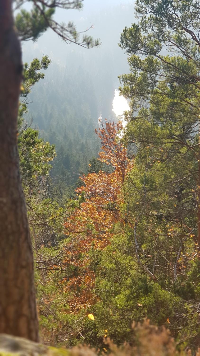 Natural landscape