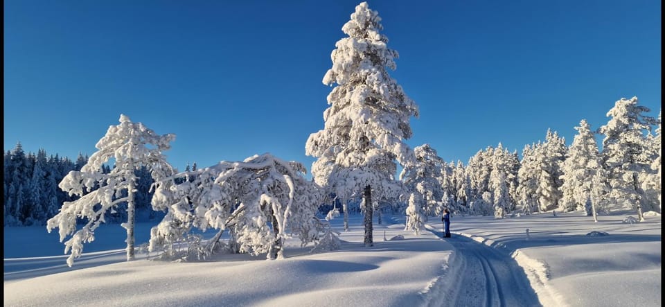 DaVita Ranch Chalet in Viken, Norway