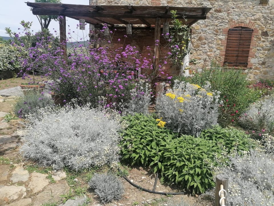Affitti Brevi Toscana - Ospitalità in Campagna Apartment in Tuscany