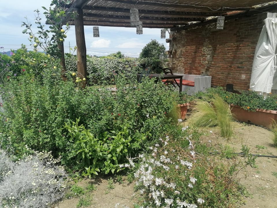 Affitti Brevi Toscana - Ospitalità in Campagna Apartment in Tuscany