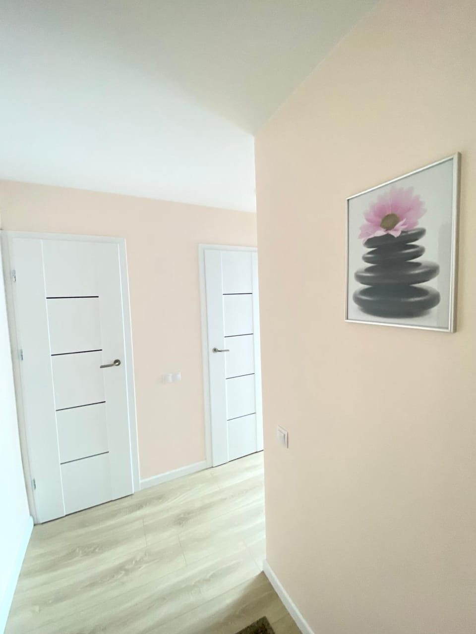 Friendship- new, calm, bright Apartment in Lithuania