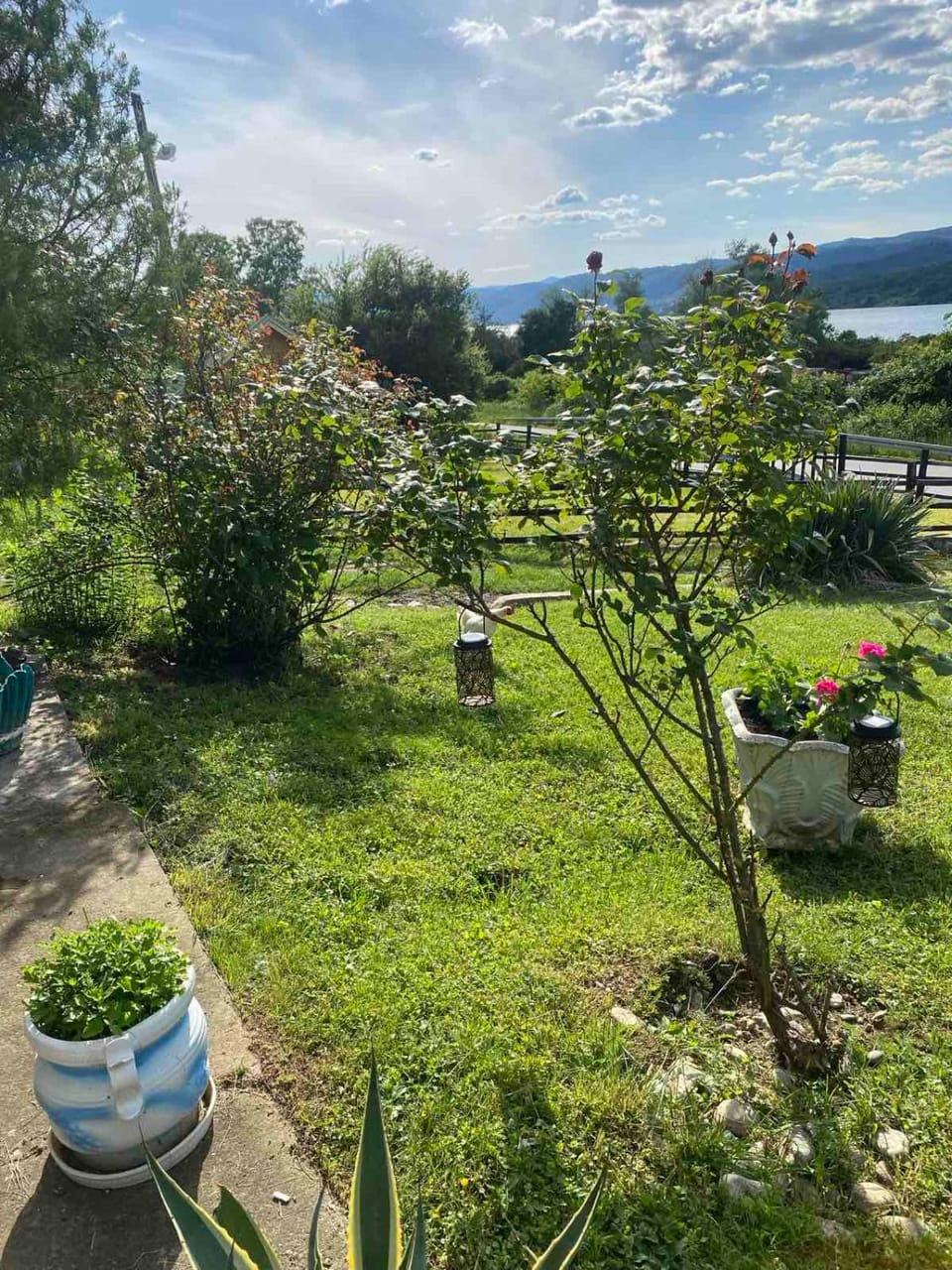 Tina Apartment in Serbia