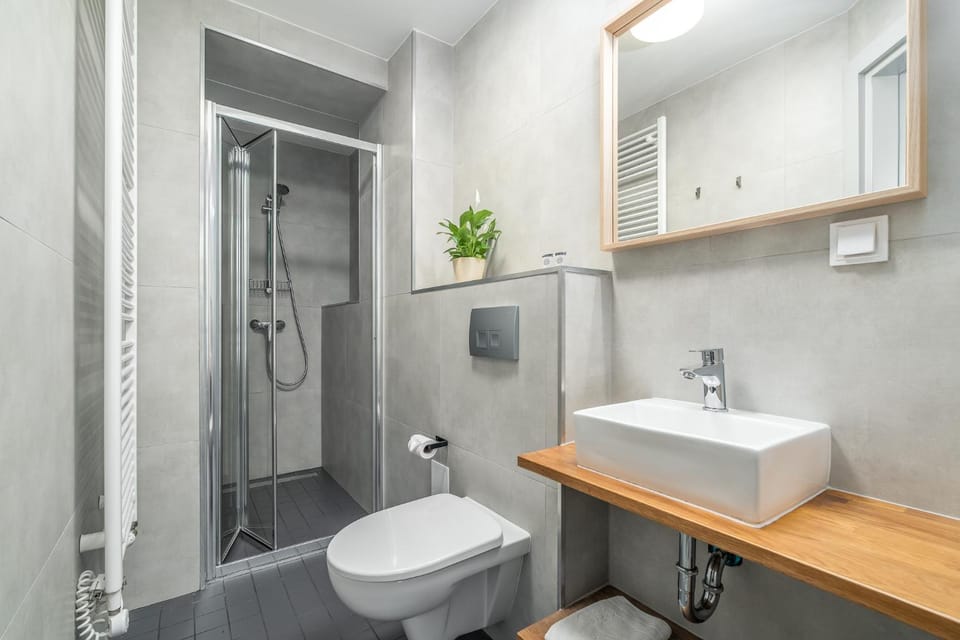 Shower, Toilet, Bathroom, towels