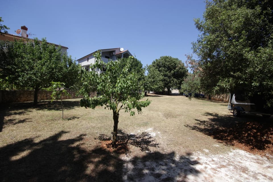 Apartments Smitran Apartment in Banjole