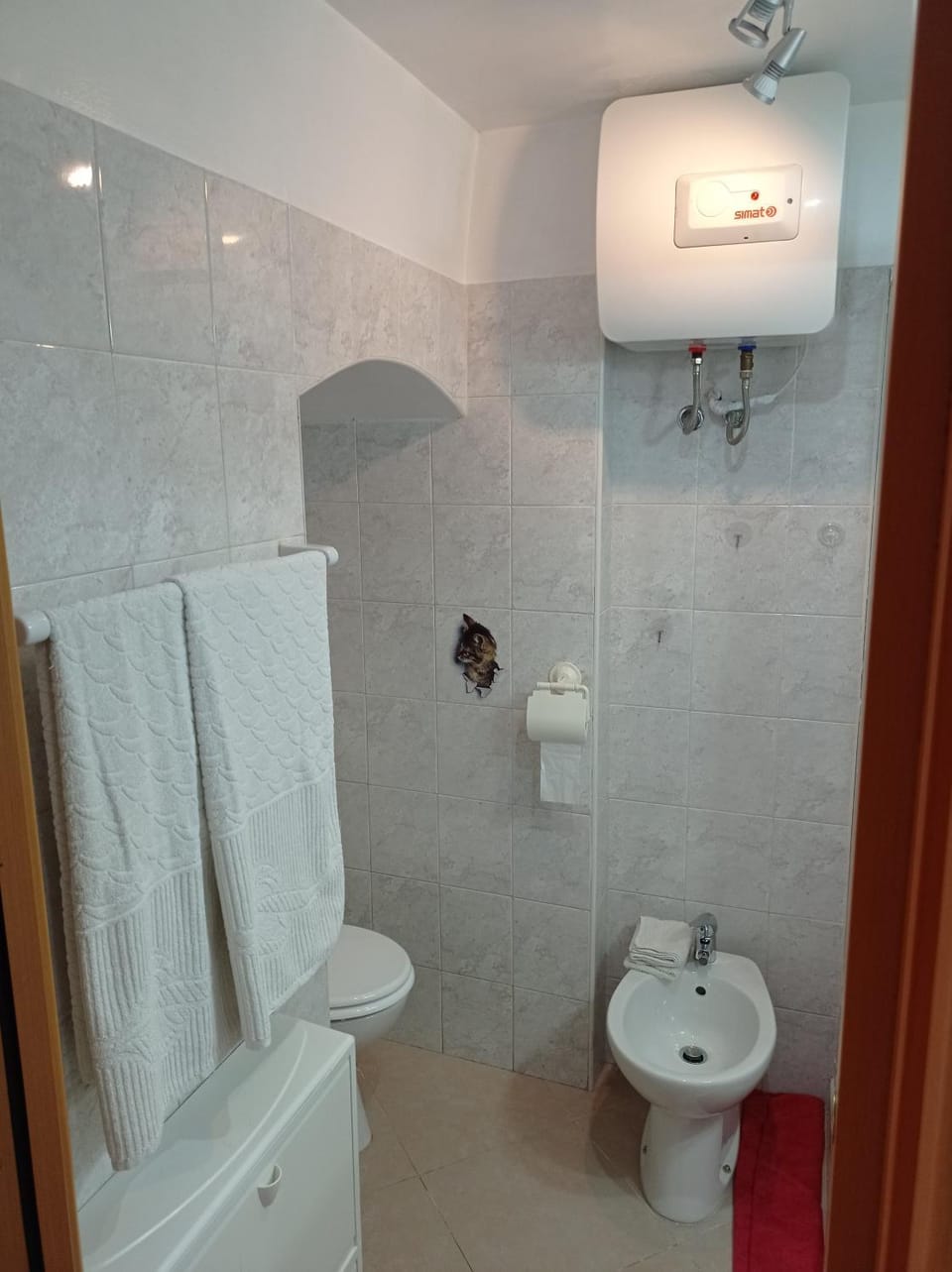 bidet, towels