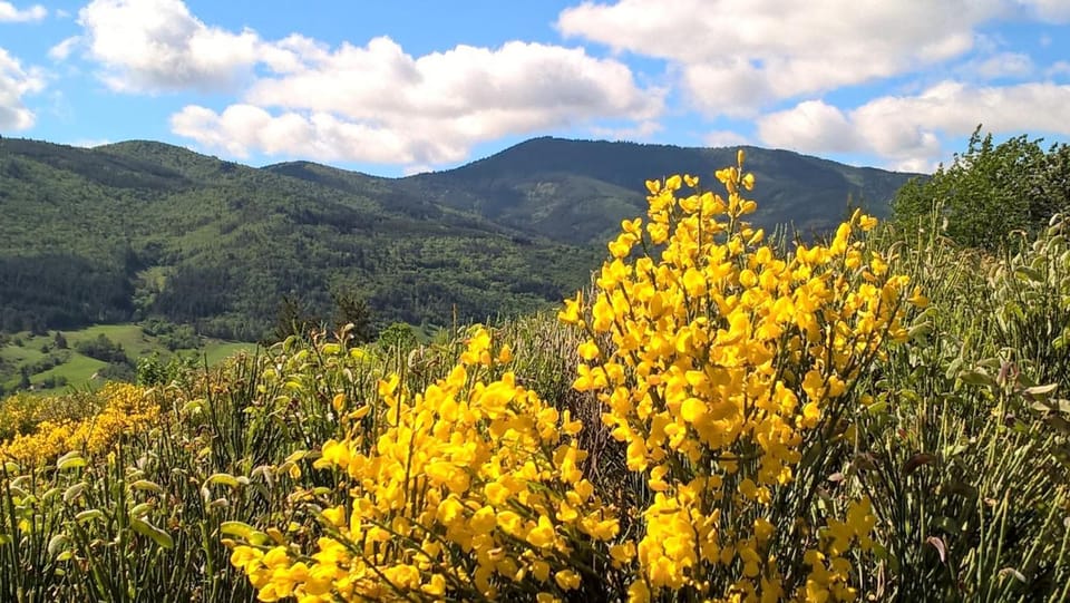 Natural landscape, Hiking, Mountain view