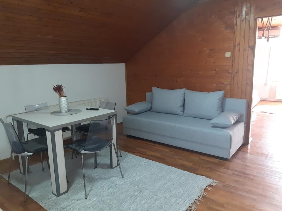Apartman Ljiljan Apartment in Serbia