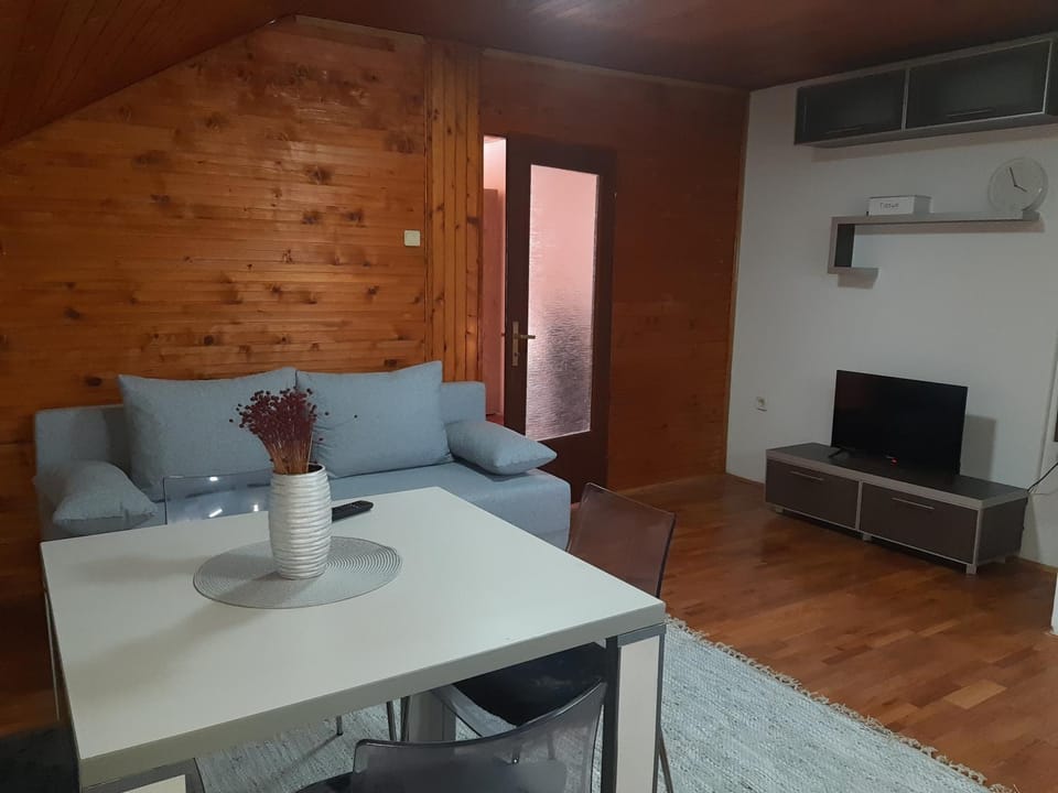 Apartman Ljiljan Apartment in Serbia