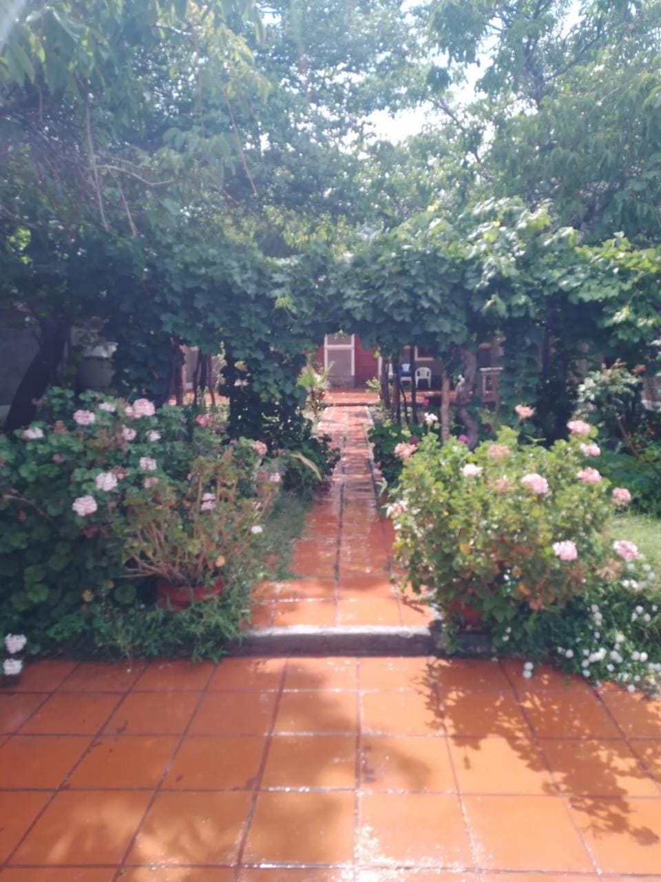 Garden, View (from property/room)