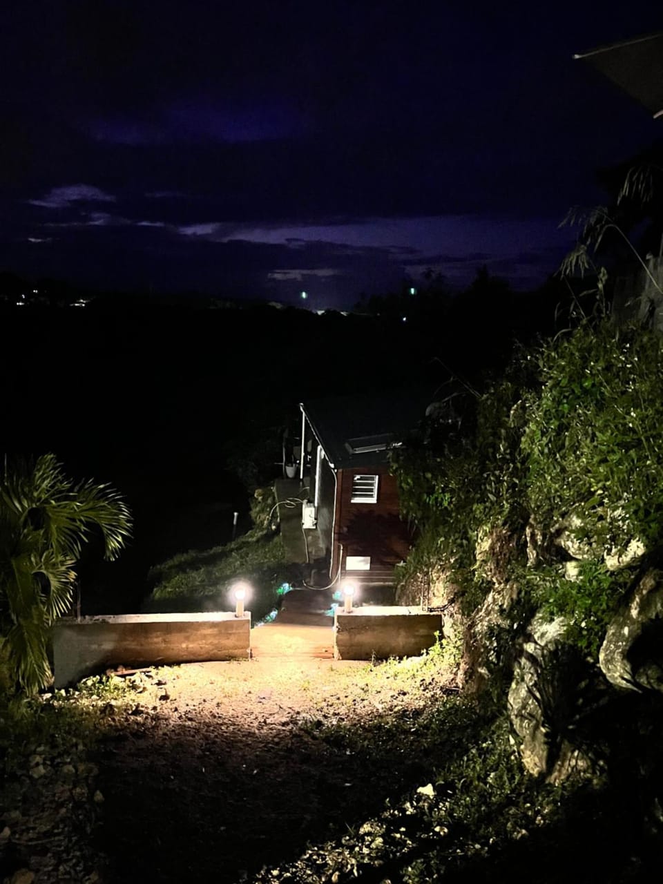 Night, Natural landscape, Garden, Garden view