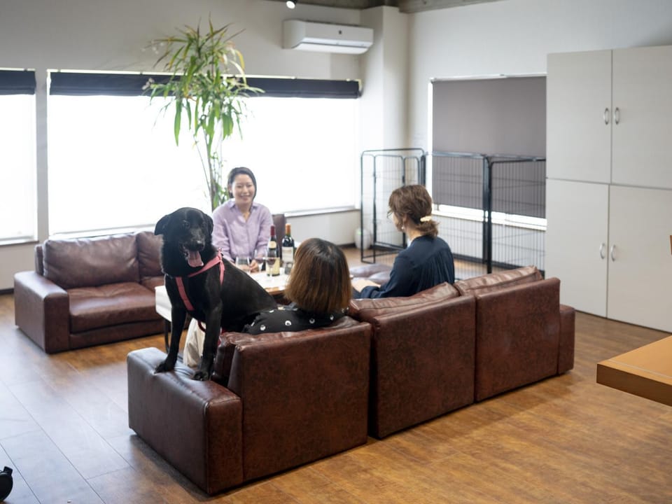 Living room, group of guests, Family