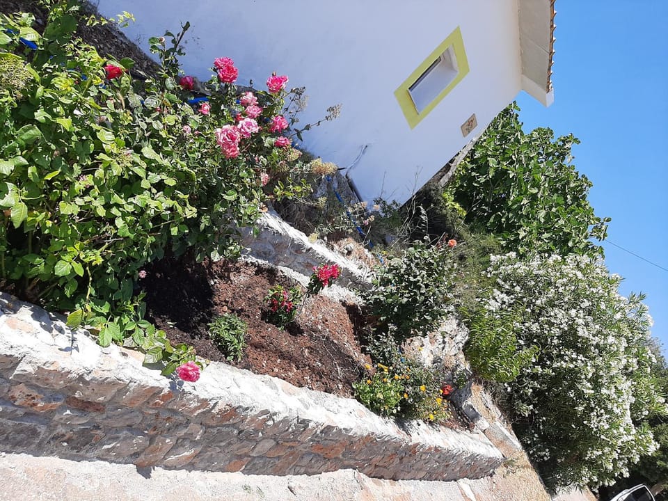 Lemon Garden 1 House in Lasithi