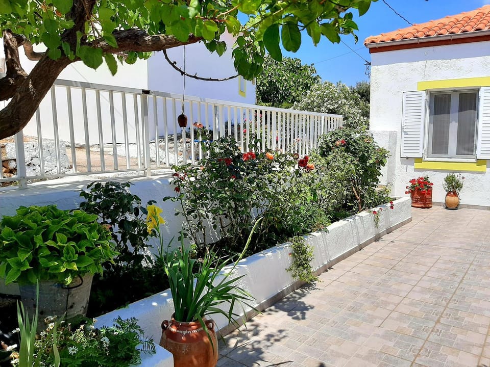 Lemon Garden 1 House in Lasithi