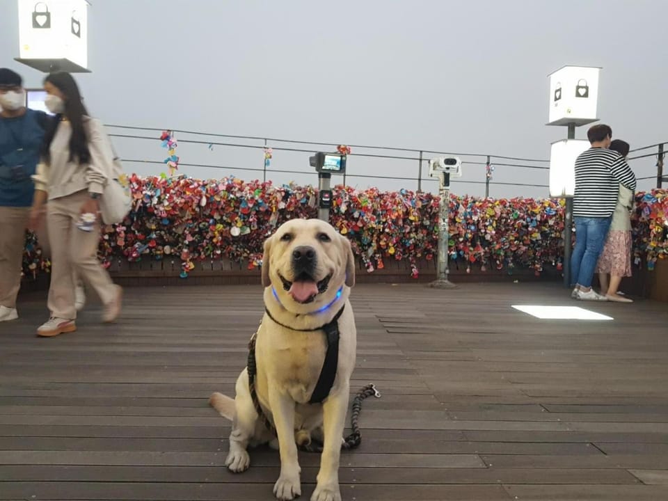 Nearby landmark, People, Neighbourhood, Natural landscape, Hiking, Pets, group of guests