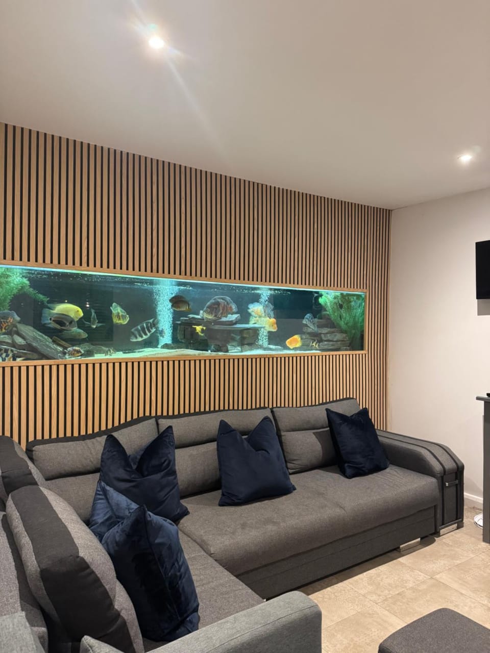 Terfyn Hall aquarium apartment 1 Apartment in Llanasa