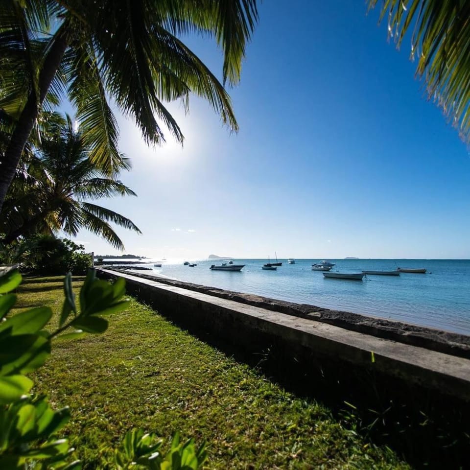 Property building, Beach, Garden view