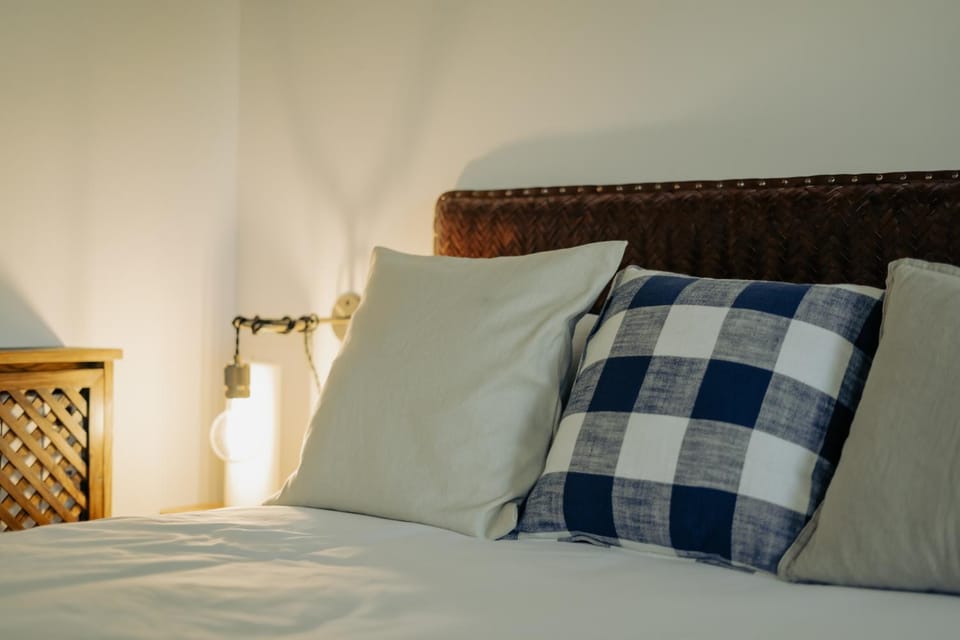 Apartamentos Etxetxu Branka eta Ankora Apartment in Basque Country