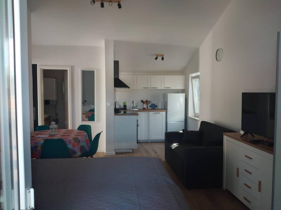 TV and multimedia, Kitchen or kitchenette, Living room, Photo of the whole room, Seating area, Dining area