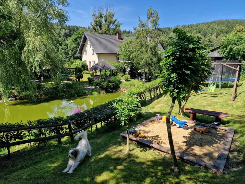 Day, Natural landscape, Children play ground, Garden, Garden view