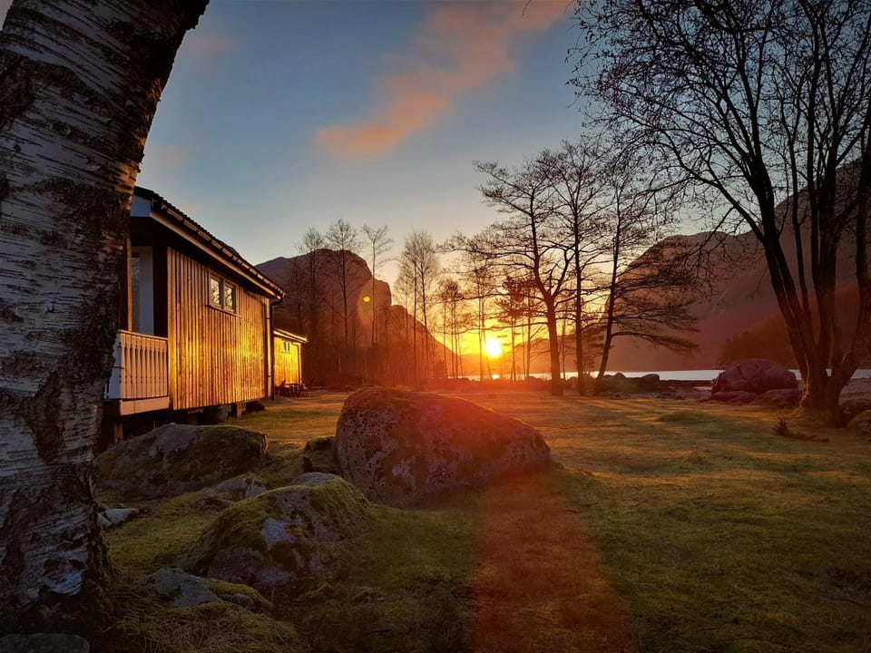 Garden, Sunrise