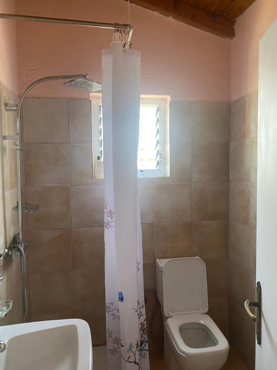 Shower, Toilet