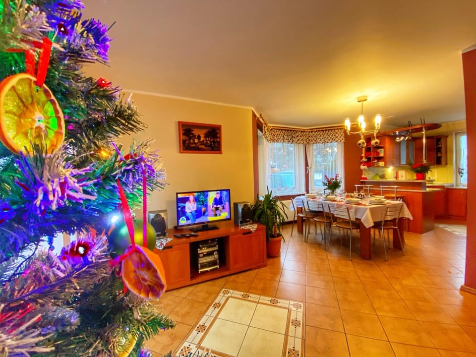 Communal lounge/ TV room, TV and multimedia, Kitchen or kitchenette, Living room, Seating area, Dining area, Evening entertainment, minibar