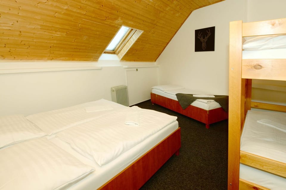 Bed, Photo of the whole room, Bedroom, bunk bed, wardrobe