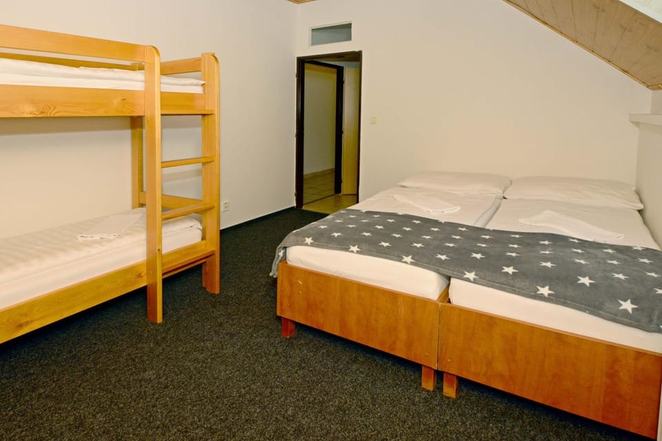 Bed, Photo of the whole room, Bedroom, bunk bed