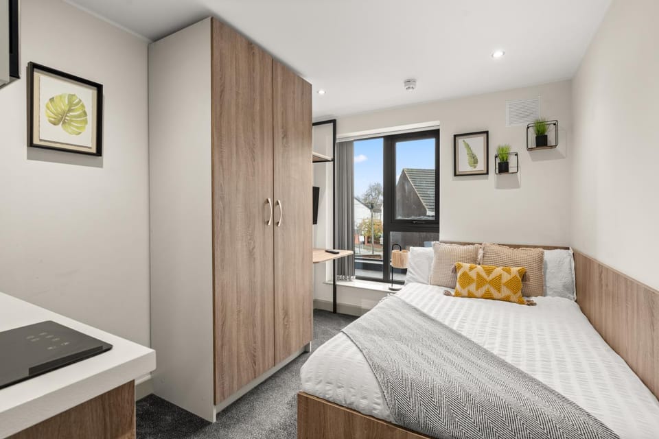 Bed, Photo of the whole room, Bedroom, wardrobe
