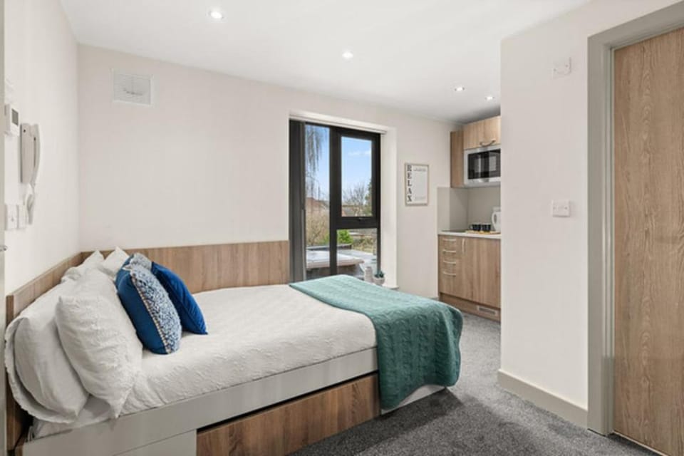 Bed, TV and multimedia, Kitchen or kitchenette, Living room, Photo of the whole room, Seating area, Bedroom, wardrobe